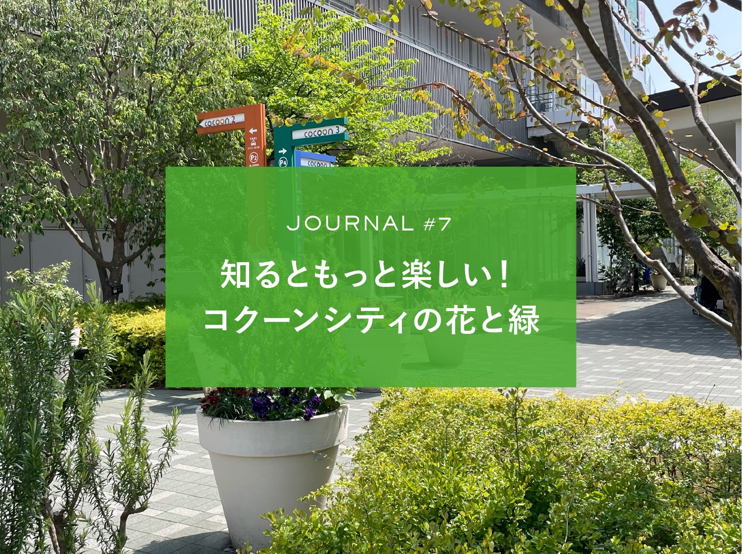 JOURNAL #7 知るともっと楽しい！コクーンシティの花と緑