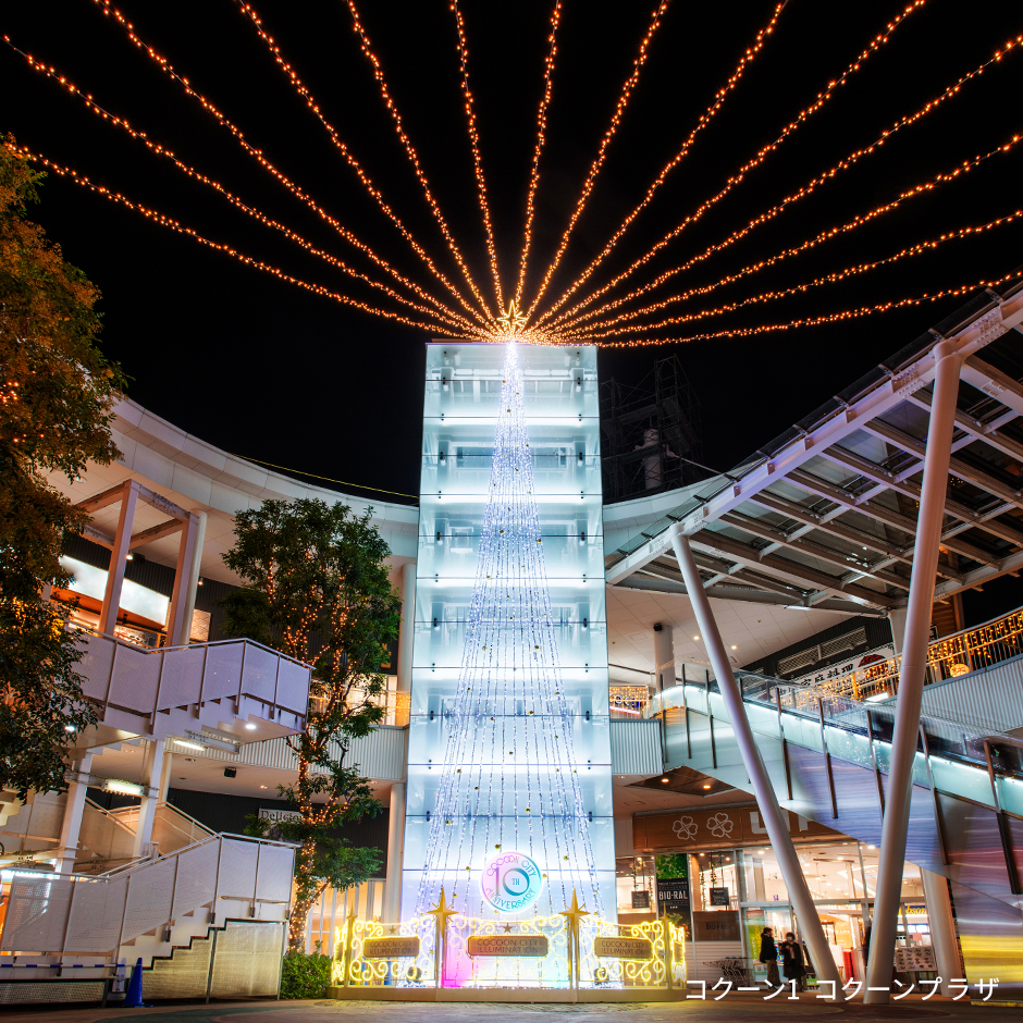 コクーン1 コクーンプラザ