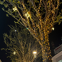 ［C］コクーン3 はなみずきウォーク